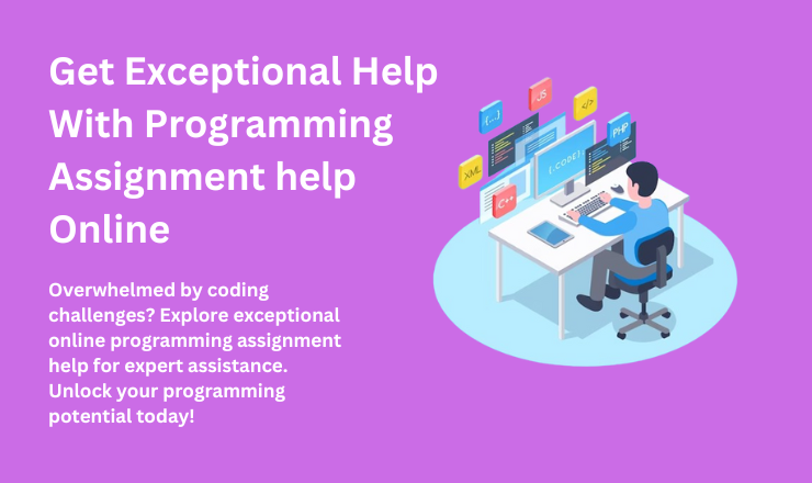 Get Exceptional Help With Programming Assignment help Online